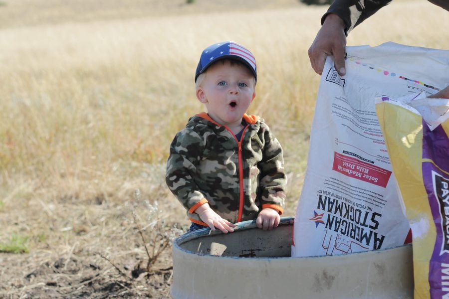 Seasons of Life on the Shearer Ranch