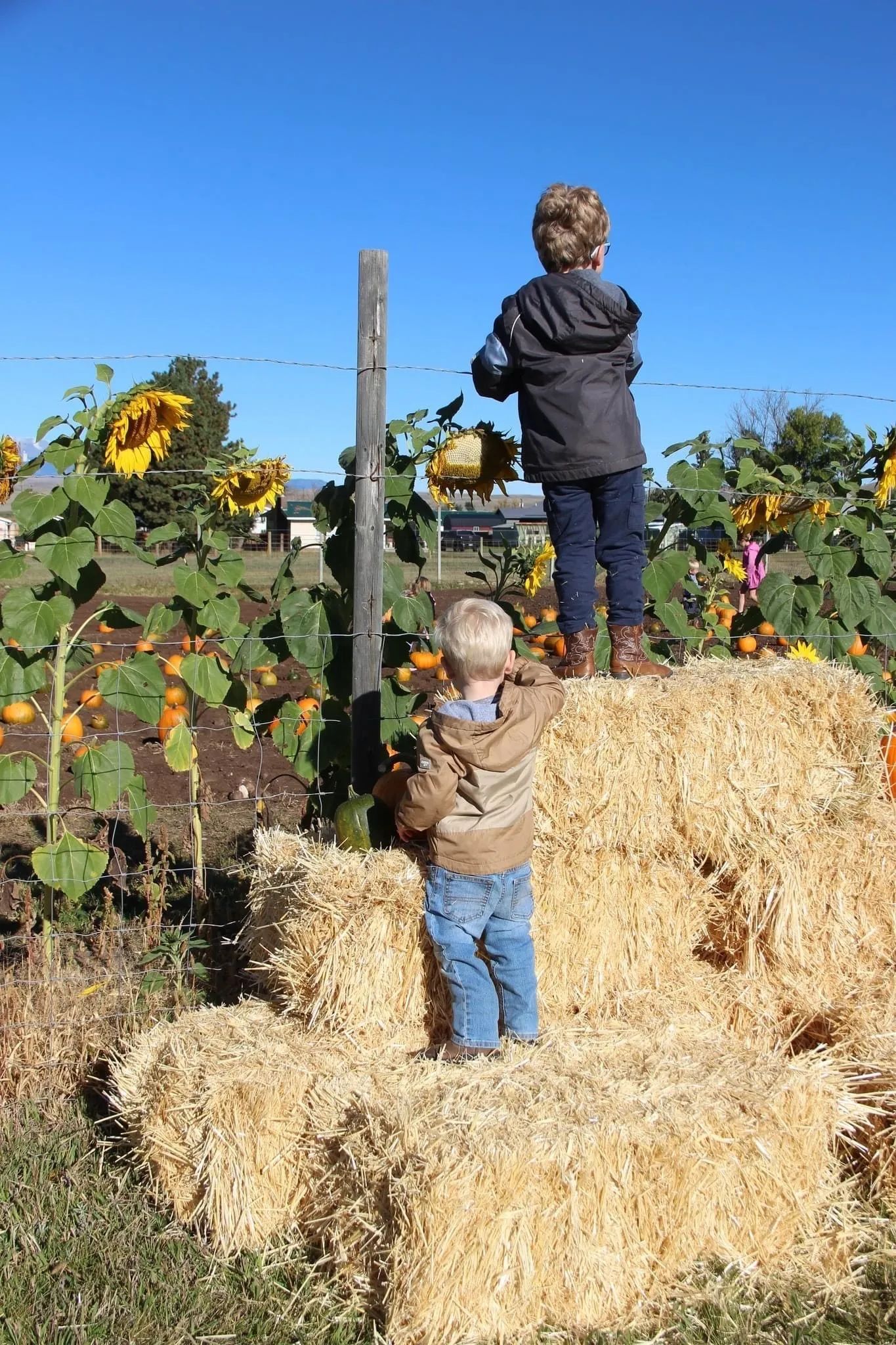 Community Fall Day