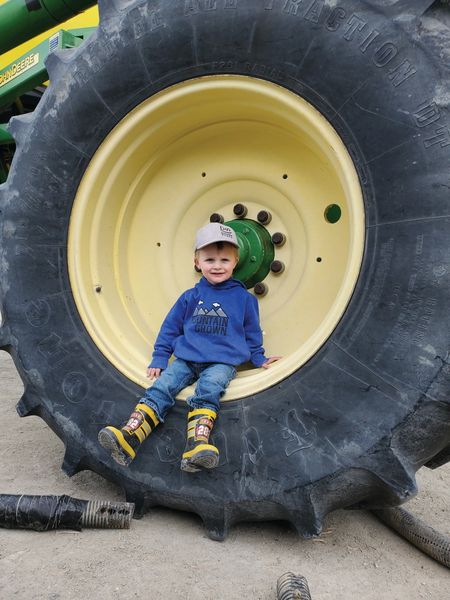 Seasons of Life on the Shearer Ranch